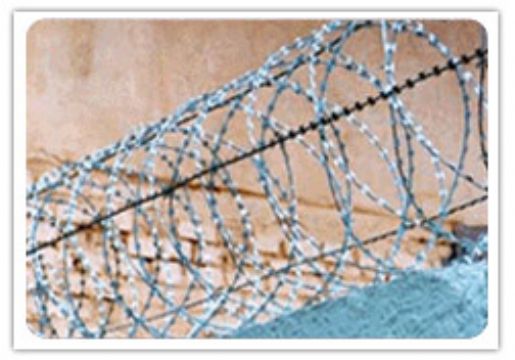 Razor Wire